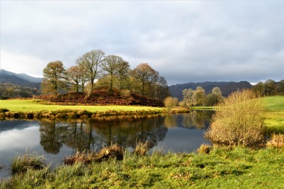 Greetings Card: River Brathay near Elterwater Reflection
