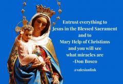 Mary Help of Christians: Mass with the Rector Major 